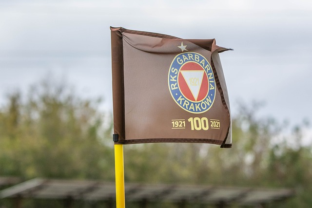 篮球明星的 篮球明星的