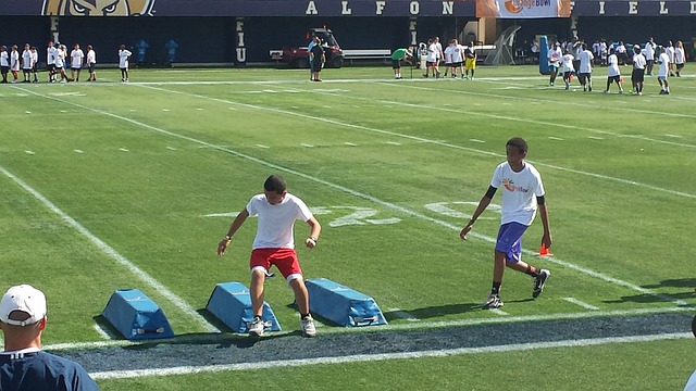 亚历山大的 亚历山大的