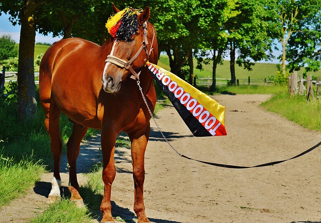 是个人生活 是个人生活