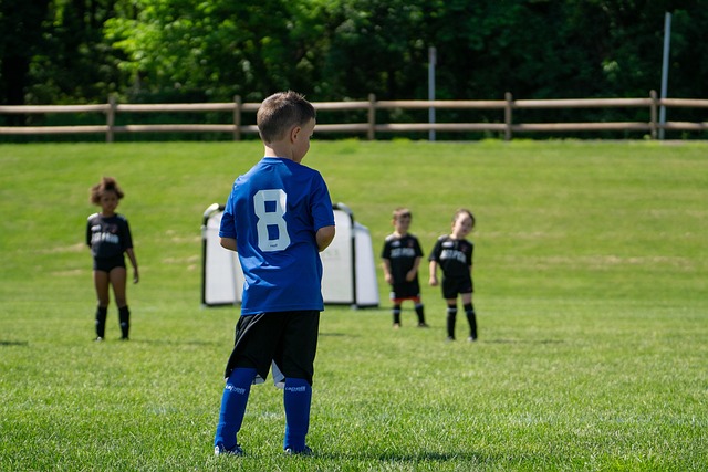 而这种分歧 而这种分歧