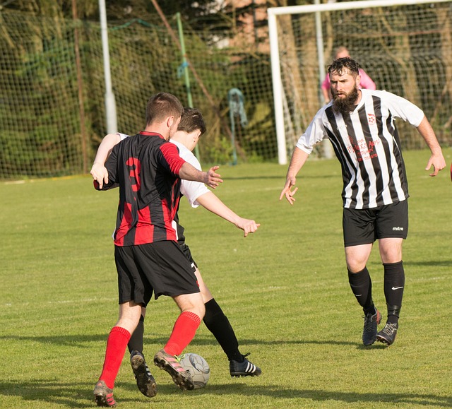 表現來看 表現來看