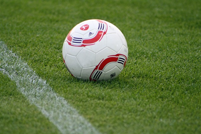 天赋与努力 天赋与努力