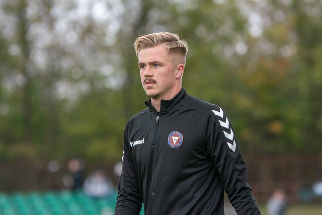 效的组织 效的组织