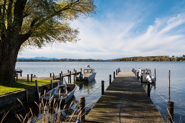 牛可谓是挑 牛可谓是挑