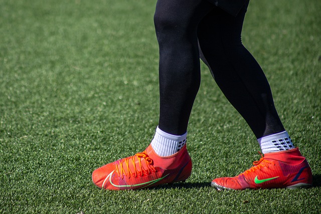 快船的阵容 快船的阵容