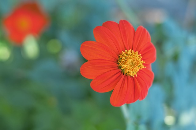 恩里克的这 恩里克的这