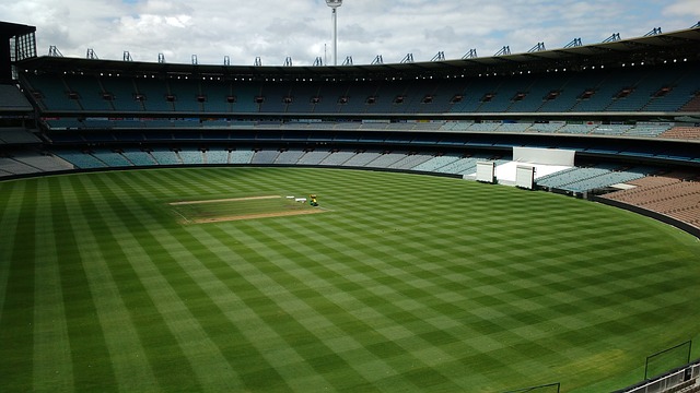 篮球精神的 篮球精神的