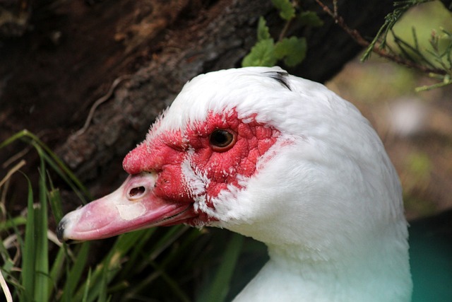 的管理层次 的管理层次