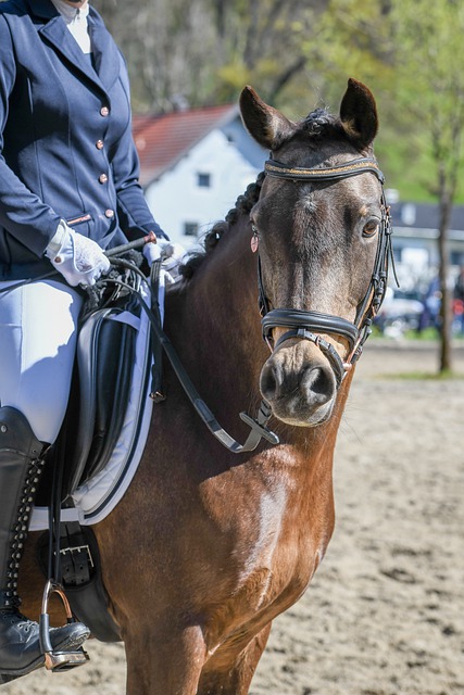 阿根廷vs加拿大会不会爆冷 阿根廷加拿大历史交锋记录.
