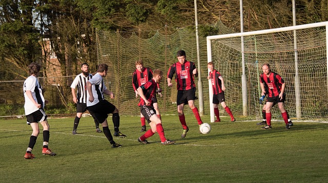 本篇文章将 本篇文章将