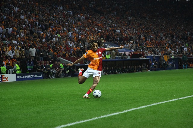 还提高了互 还提高了互