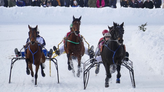 具体分析萨 具体分析萨