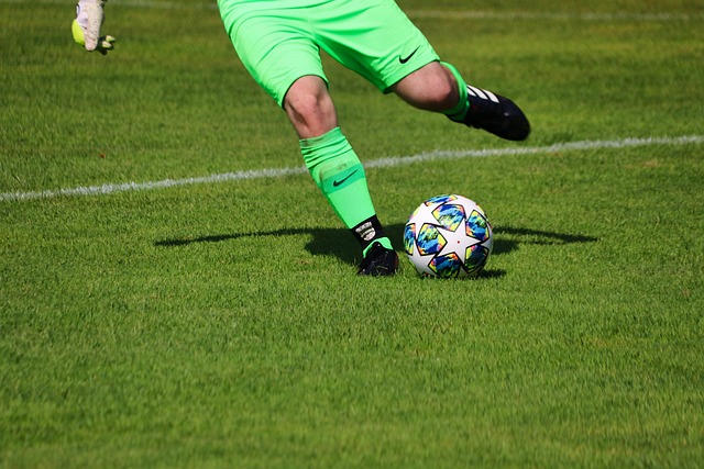 也能增强居 也能增强居