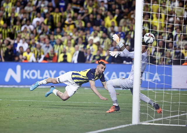 满足了不同 满足了不同