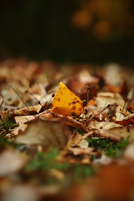 哈特談三雙表現：我在努力將場上每一環節緊密相連.